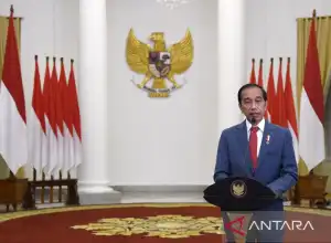 Indonesia dan Isu Transisi Energi dalam Fokus Presidensi G20