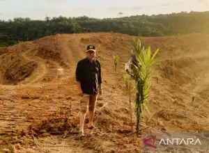 Pemkab Nagan Raya Usulkan Peremajaan 3.300 ha Kebun Sawit ke Kementan