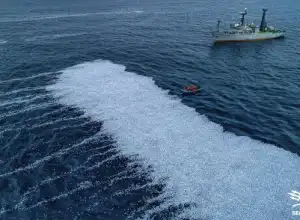 UE Gelar Penyelidikan terhadap 100 Ribu Ikan Mati Berserak di Pesisir Prancis