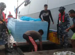 TNI AL Tangkap Dua Kapal Pukat Harimau di Aceh Timur