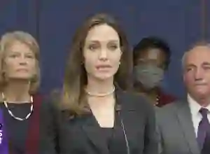 Angelina Jolie dan Akta Kekerasan Dalam Rumah Tangga AS