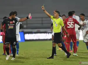 Pelatih Persib Tertawakan Kartu Kuning Untuknya Saat Lawan Persija
