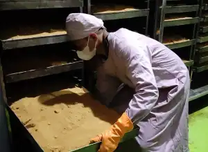 Koperasi Penderes Bikin Gula Semut Banjarnegara Mendunia