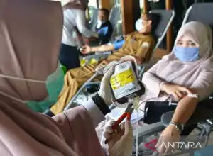 PMI Banda Aceh kumpulkan sekitar 3.000 kantong darah per bulan