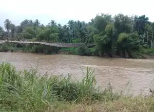 Jembatan Gangtung di Bireuen Ambruk, Puluhan Warga Jatuh ke Sungai