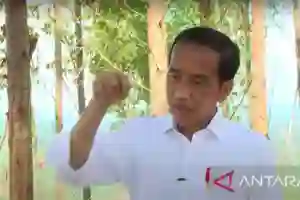 Presiden: Istana Negara di IKN Dibangun di Dataran Tertinggi