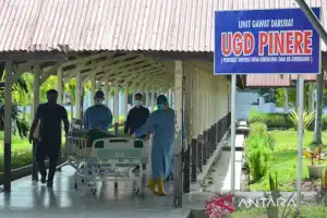 Satgas: 29 warga Aceh Timur terpapar COVID-19