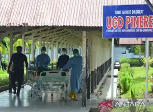 Satgas: 29 warga Aceh Timur terpapar COVID-19
