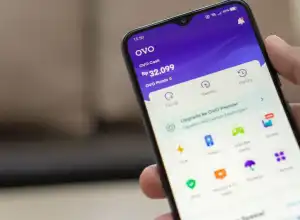 OVO dukung Indonesia capai ekonomi digital terbesar di ASEAN