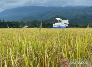 Menggalakkan akses KUR di kalangan petani Aceh
