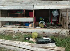 Beberapa Rumah di Bener Meriah Dirusak Gajah Liar