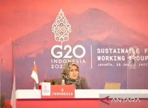 G20 Dorong Kerangka Kerja Untuk Keuangan Transisi