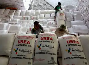 Imbas Kenaikan Harga Akibat Perang, Pemerintah Bakal Batasi Pupuk Subsidi