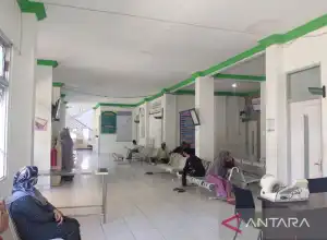 Belum Ada Kejelasan Tunjangan, Dokter di Aceh Jaya Mogok Kerja