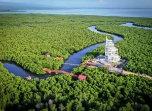 Kemenparekraf Resmikan Tower Mangrove Forest Langsa