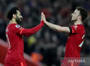 Pelatih: Liverpool Tampilkan Permainan Tingkat Tinggi Saat Tumbangkan MU