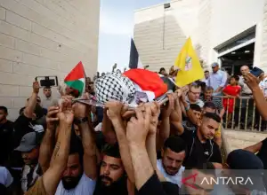 Seorang Warga Palestina Tewas di Tangan Tentara Israel