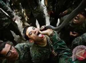 Jepang dan Thailand Sepakati Perjanjian Pertahanan Baru