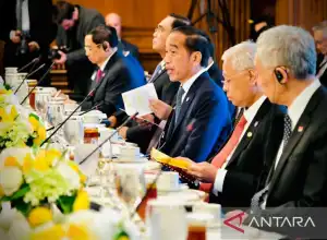 Presiden Jokowi Singgung Soal Perang Ukraina di Depan Kongres AS