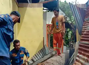 Pohon Tumbang Timpa Dua Rumah Warga di Aceh Besar