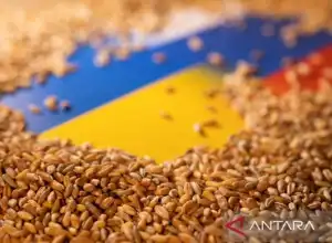 Perang Sebabkan Ribuan Benih Tanaman Ukraina Terancam Punah