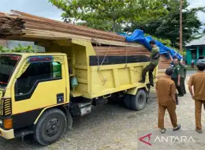 Satu Truk Diduga Pengangkut Kayu Ilegal Ditangkap di Aceh Barat