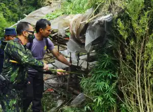 BNN Musnahkan 20 Ribu Batang Ganja di Kawasan Hutan Lindung di Gayo Lues