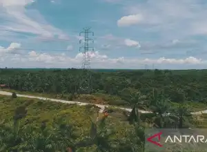 PLN Pasok IKN dengan SPLU dan Dua Gardu Induk Bergerak
