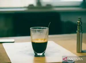 Produk Alternatif Jadi Pilihan Populer Perokok Dewasa Di Negara Maju