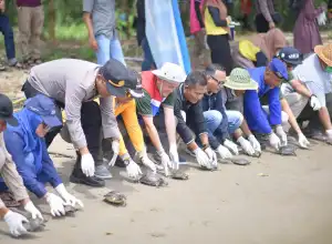 Peringati Hari Lingkungan Hidup Sedunia, Pertamina EP Rantau Field Lepasliarkan 120 Tukik