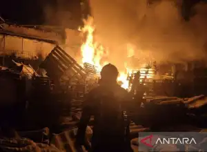 Mantan Tentara Inggris Tewas Saat Bertempur Membela Ukraina