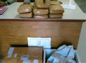 Polisi Tangkap Pelaku Penyeludupan 12 Bal Ganja Bermodus Paket Onderdil Mobil