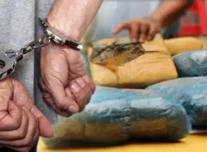 Polisi Tangkap Seorang Pengedar Ganja di Abdya