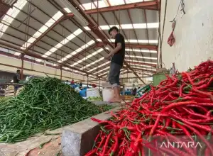 Stok Pangan di Aceh Dipastikan Aman Meski Harga Tinggi