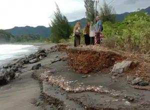Jalan dan Kebun Warga di Leupung Aceh Besar Rusak Dihantam Gelombang Pasang