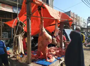 Ternak untuk Tradisi Meugang Idul Adha di Aceh Capai 43.981 Ekor