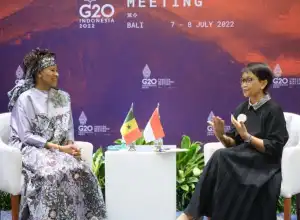 Indonesia Jadi Presiden G20 Pertama yang Undang Uni Afrika