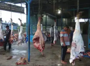 Daging Meugang Idul Adha di Abdya Capai Rp 200 Ribu/Kg