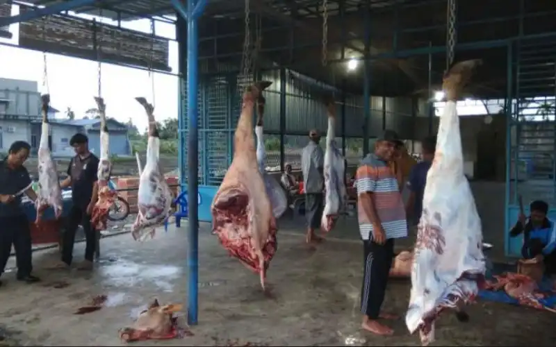 Daging Meugang Idul Adha di Abdya Capai Rp 200 Ribu/Kg