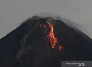 Gunung Merapi Luncurkan Guguran Lava Pijar Sejauh 1.800 Meter