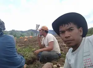 Petani Mengeluh Melambungnya Harga Pupuk, Pemerintah Diminta Tidak Tutup Mata