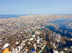 Indonesia dan AS Bentuk kemitraan guna Kurangi Limbah Plastik di Laut