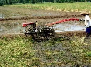 Pemkab Aceh Barat Salurkan 1.000 Traktor Tangan untuk Petani