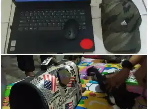 Curi Laptop dan Kucing Milik Tetangga, Pria di Banda Aceh Diringkus Polisi