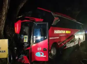 Laga Kambing, Bus Hantam Kijang Inova di Aceh Timur