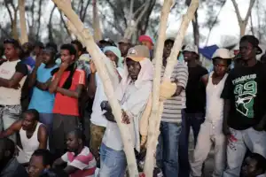 IOM: Sembilan Juta Migran Tinggal di Mesir