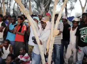 IOM: Sembilan Juta Migran Tinggal di Mesir