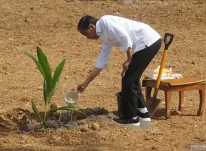 Indonesia Terima Penghargaan IRRI Atas Capaian Swasembada Beras