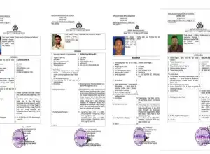 LASKAR Desak Polisi Tangkap Empat DPO Illegal Logging Dan Illegal Mining di Geumpang Pidie