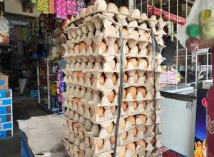 Harga Telur Ayam di Banda Aceh Capai Rp50.000 per Papan